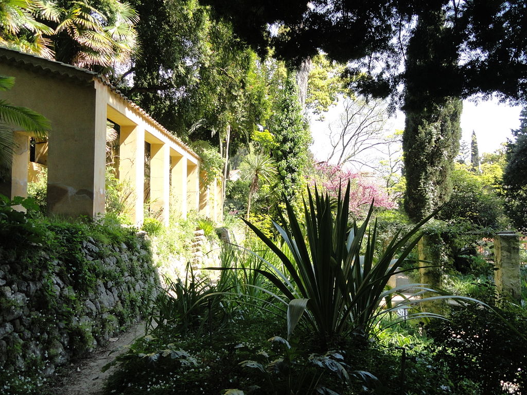 1024px-Jardin_Serre_de_la_Madone_-_DSC04023.JPG