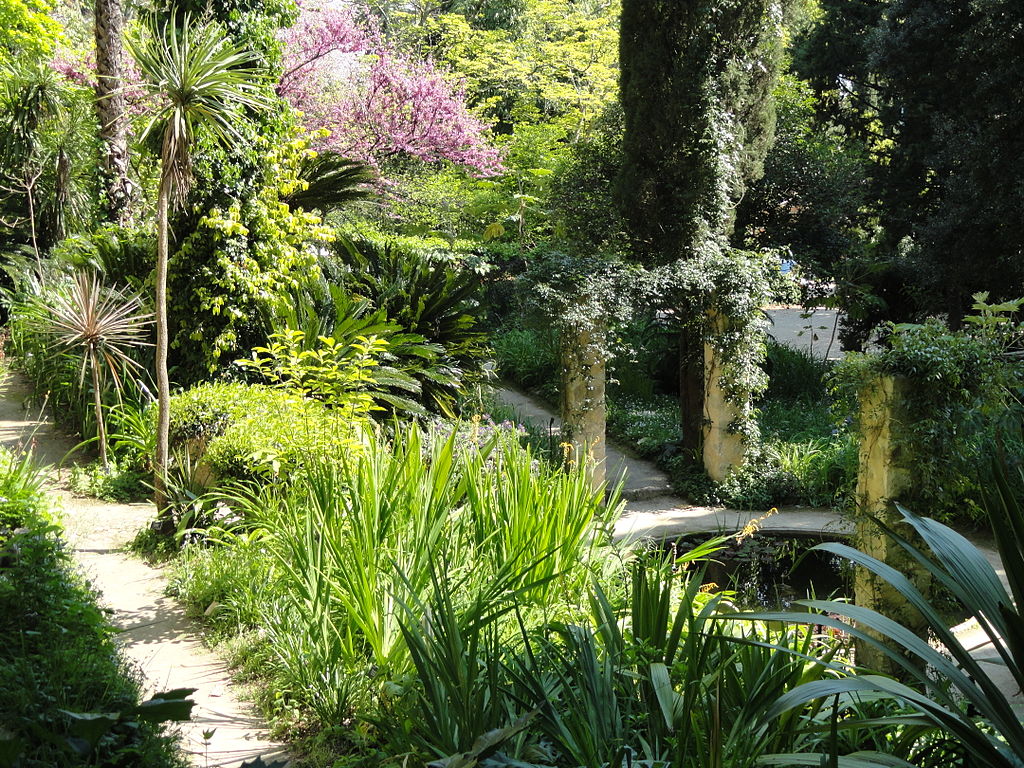 1024px-Jardin_Serre_de_la_Madone_-_DSC04028.JPG