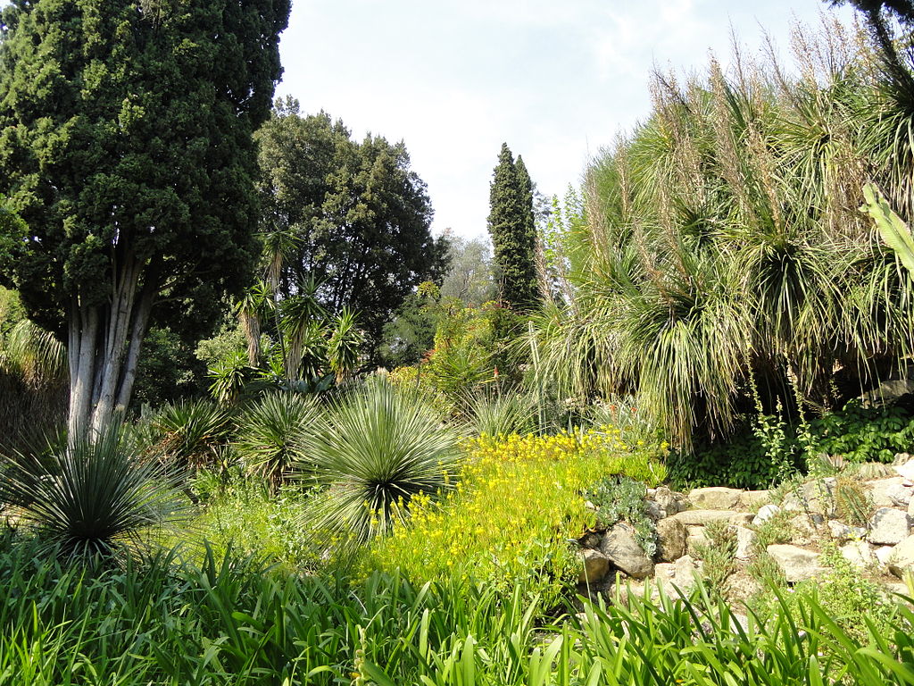 1024px-Jardin_Serre_de_la_Madone_-_DSC04051.JPG
