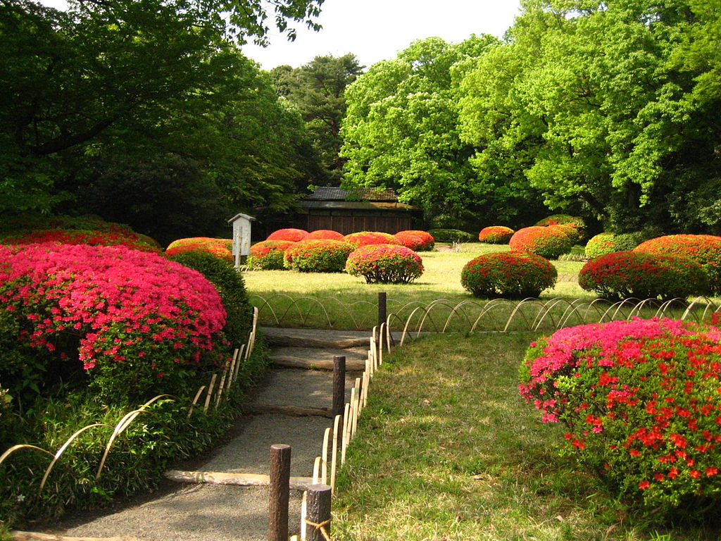 1024px-Meiji_Shrine_Inner_Garden.JPG