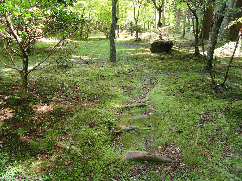 1024px-Nature_-_Ishiyamadera_-_Otsu,_Shiga_-_DSC07427.JPG