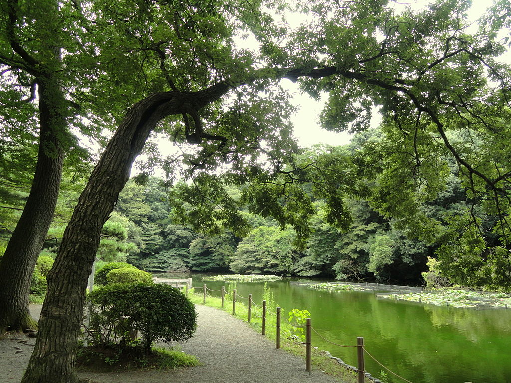 1024px-Pond_-_Meiji_Shrine_Inner_Garden_-_DSC04923.JPG