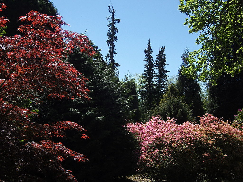 1024px-Sheffield_Park_Garden04.JPG