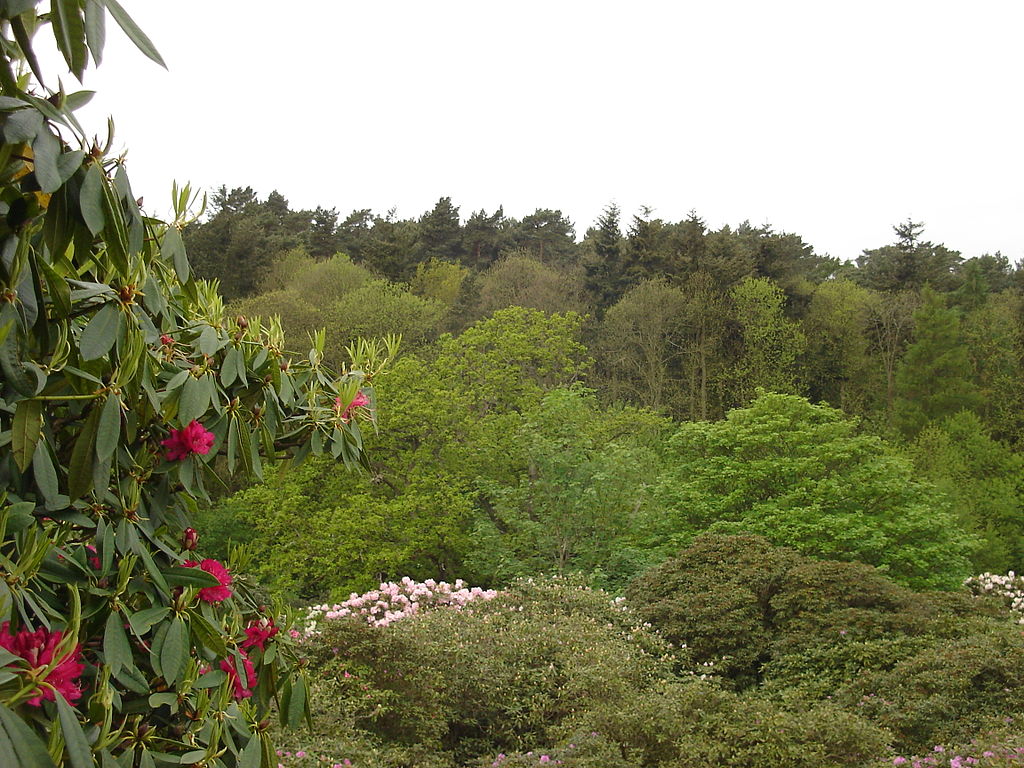 1024px-Sheringham_Park_5.JPG
