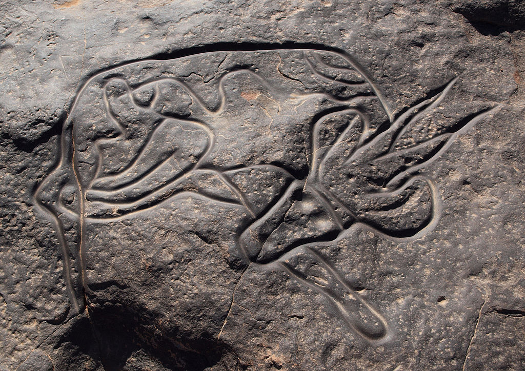1024px-Sleeping_Antelope_Tin_Taghirt.jpg