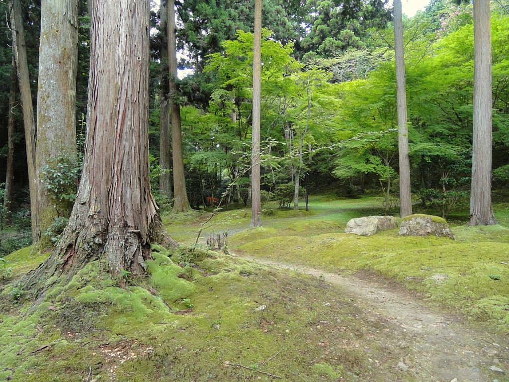 1024px-Walkway_-_Ishiyamadera_-_Otsu,_Shiga_-_DSC07439.JPG