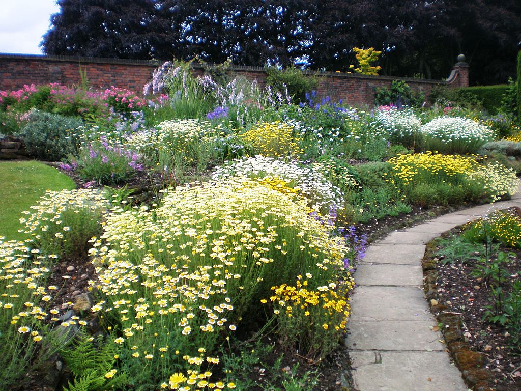 1024px-Winterbourne_Botanic_Garden.jpg