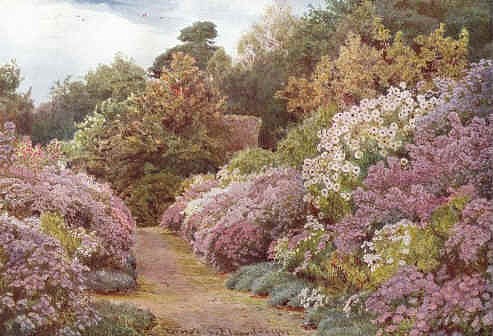 103_george_ s._elgood_gertrude_ jekyll_1904.jpg