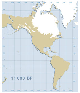 11000-eng.jpg