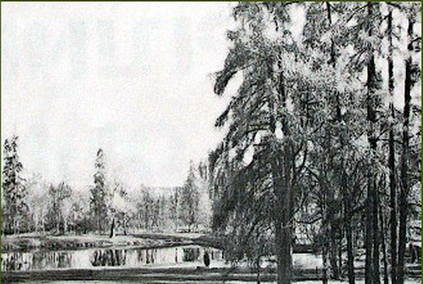 116.Сад (2005 г.).jpg