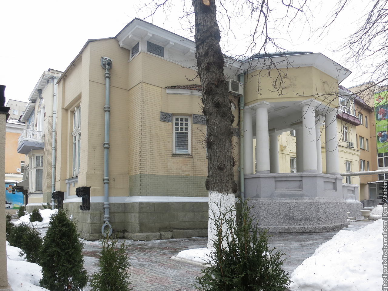 12 рейнекеIMG_0529.jpg