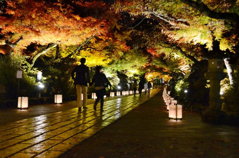 121117shiga.jpg