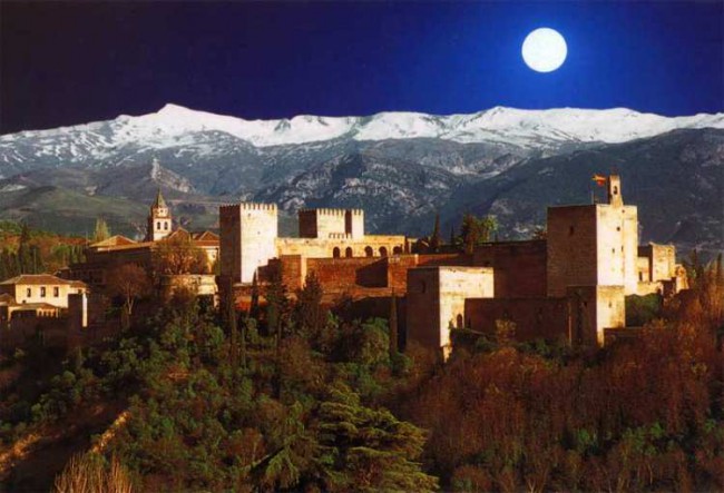 1277505431_al3_650x0.jpg
