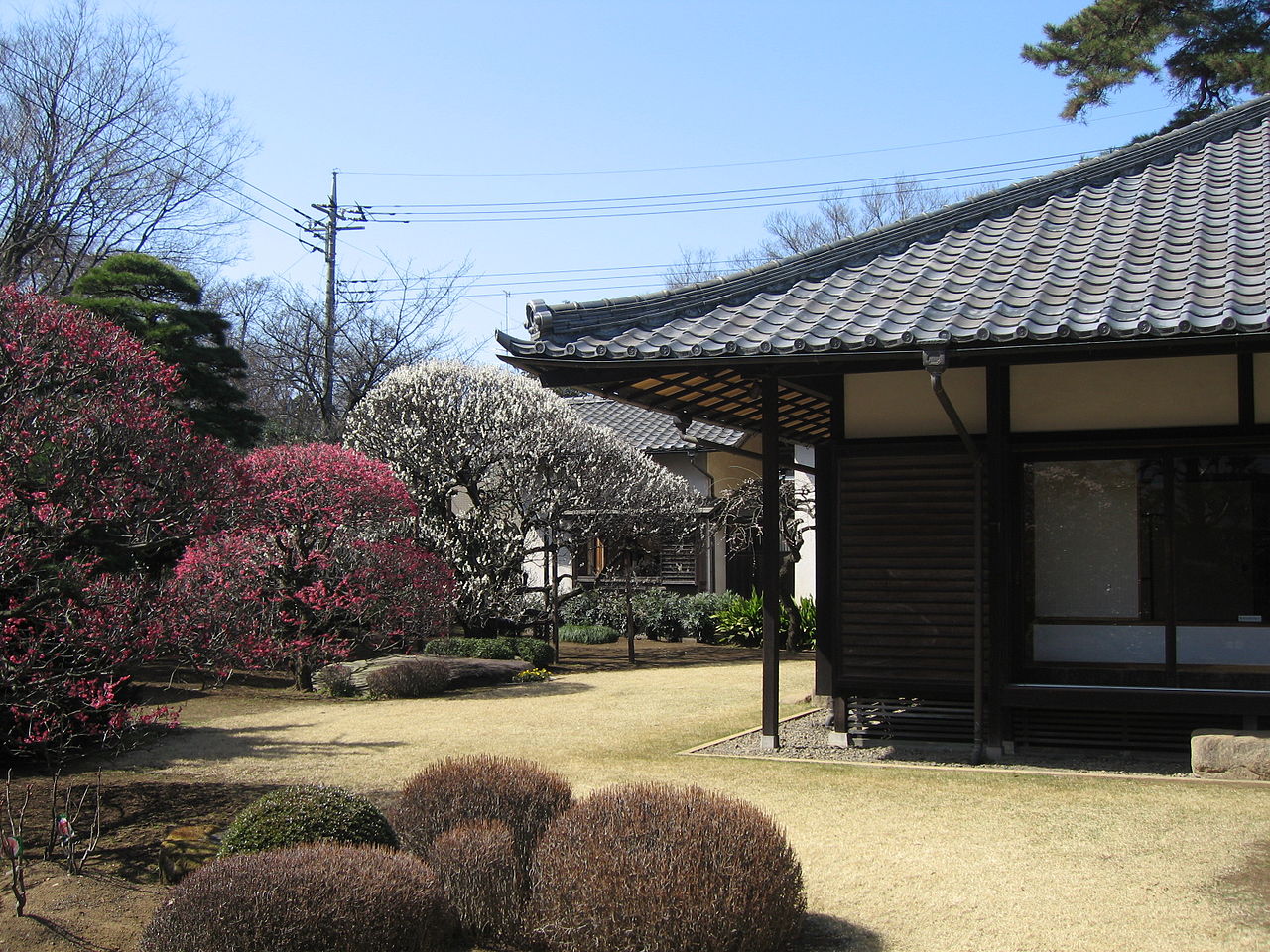 1280px-小平市平櫛田中彫刻美術館記念館庭園.JPG