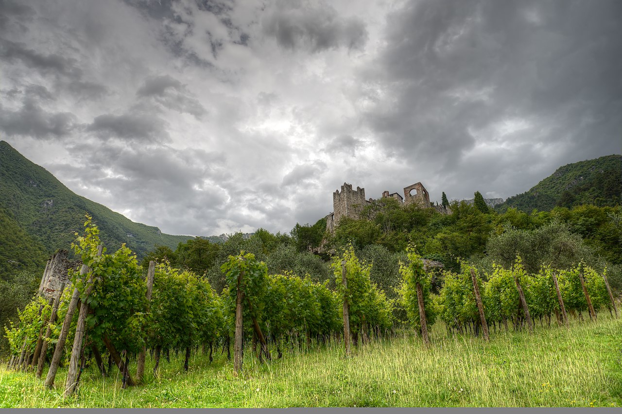 1280px-Castello_di_Avio_-_Sabbionara,_Avio,_Trento,_Italy_-_July_21,_2014_01.jpg
