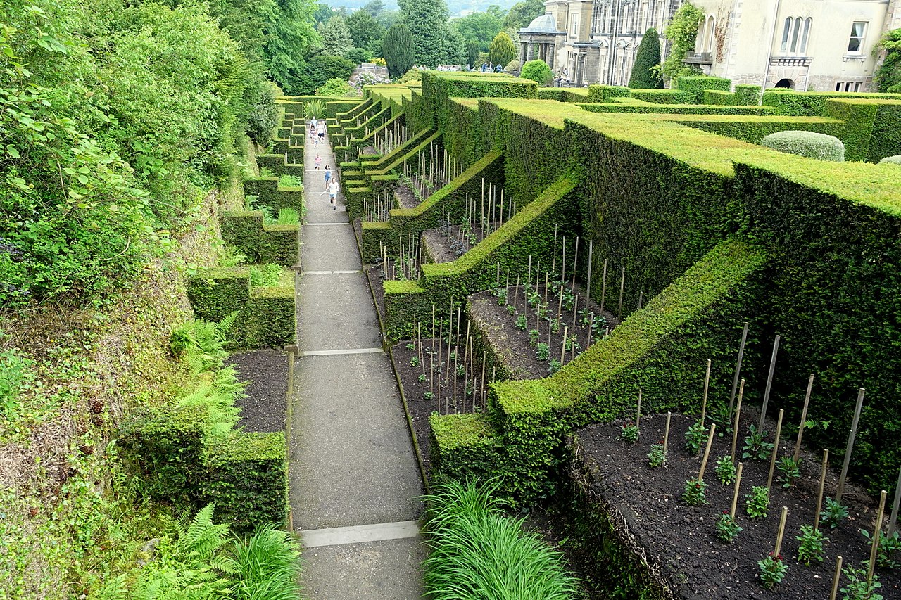 1280px-Dahlia_Walk_-_Biddulph_Grange_Garden_-_Staffordshire,_England_-_DSC09312.jpg