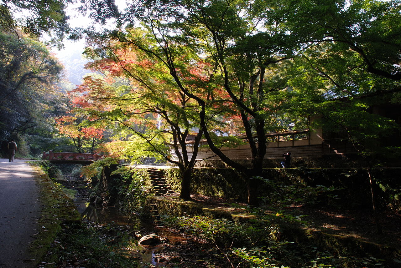 1280px-Gakuenji_temple.JPG