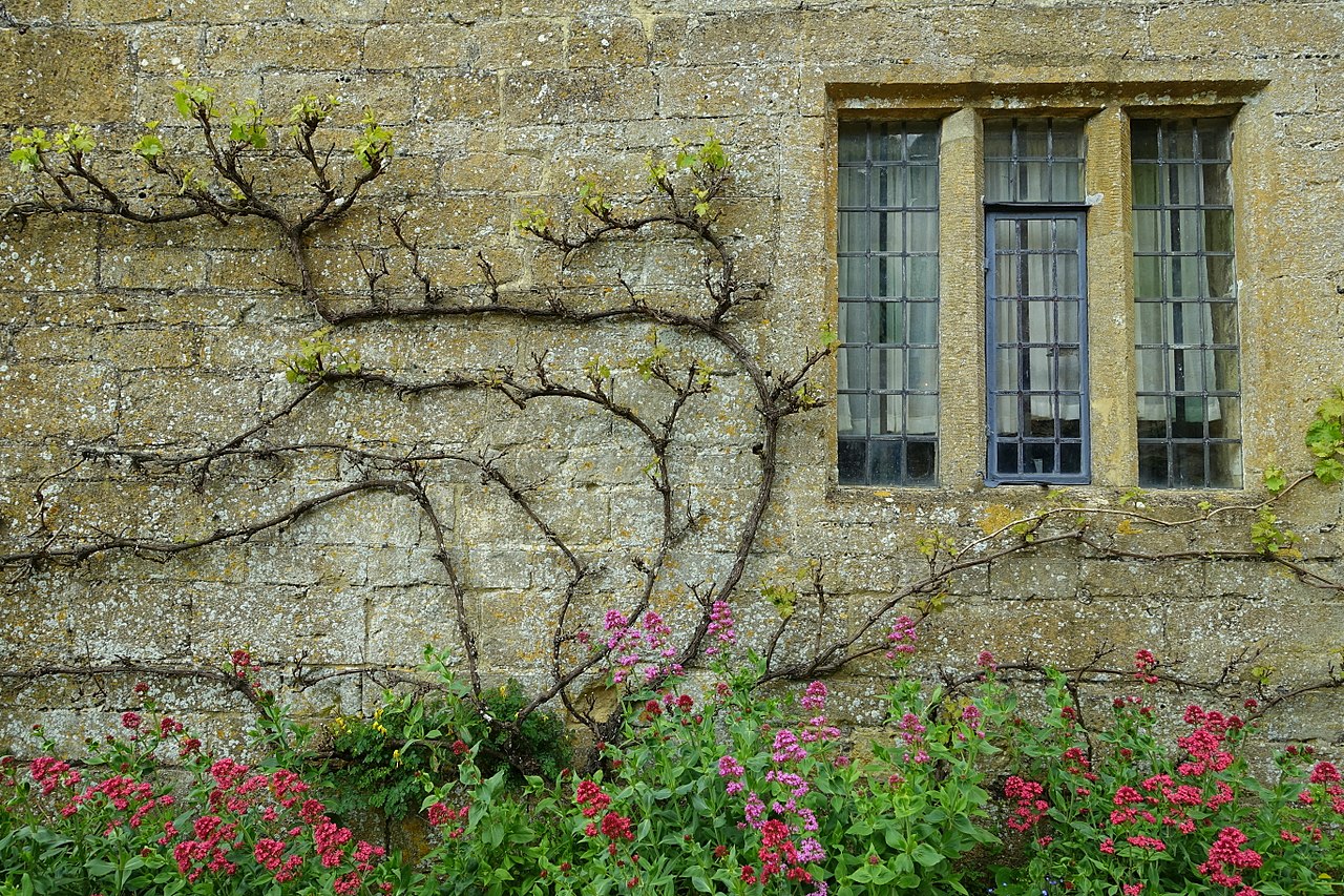 1280px-Garden_detail_-_Snowshill_Manor_-_Gloucestershire,_England_-_DSC09636.jpg
