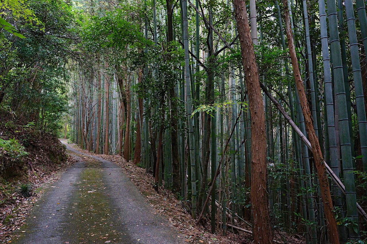 1280px-Kuwanomi-dera_Azuchi_Shiga_pref_Japan00n.jpg