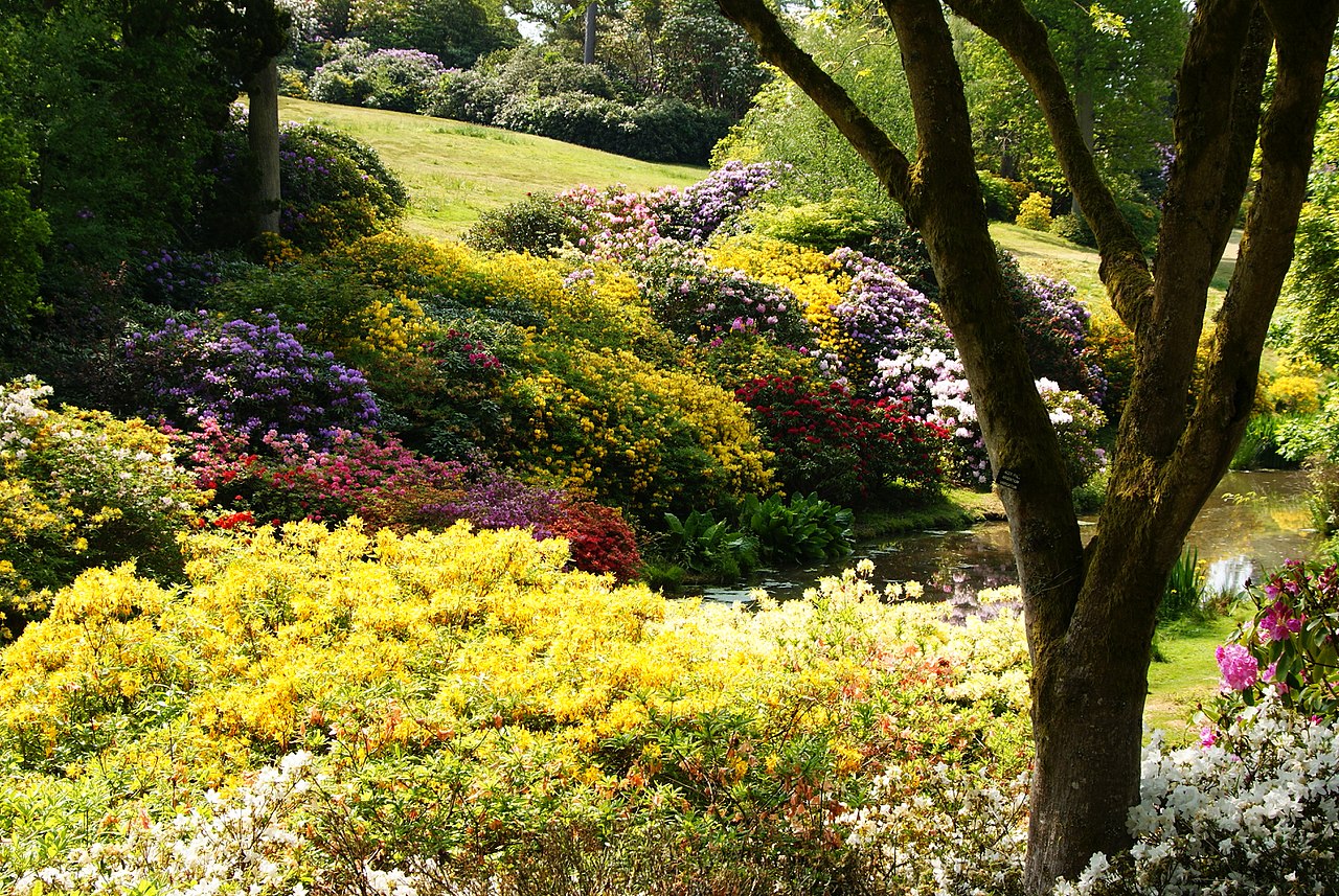 1280px-Leonardslee_Gardens,_Sussex_(2)_(geograph_1906410).jpg