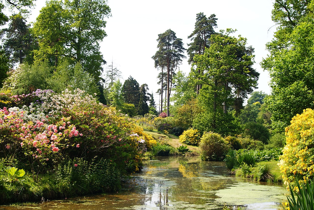 1280px-Leonardslee_Gardens,_Sussex_(3)_(geograph_1906421).jpg