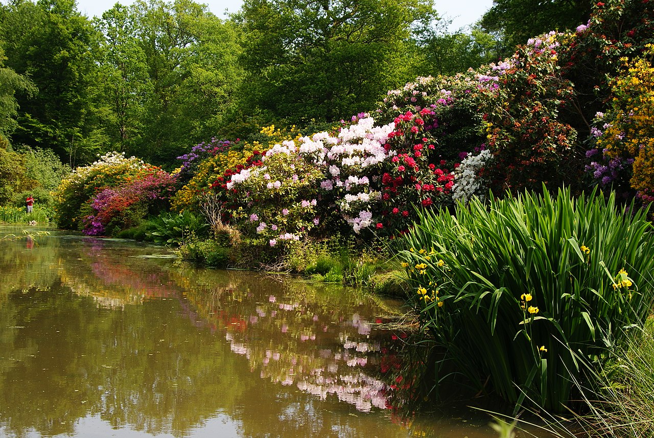 1280px-Leonardslee_Gardens,_Sussex_(4)_(geograph_1906434).jpg