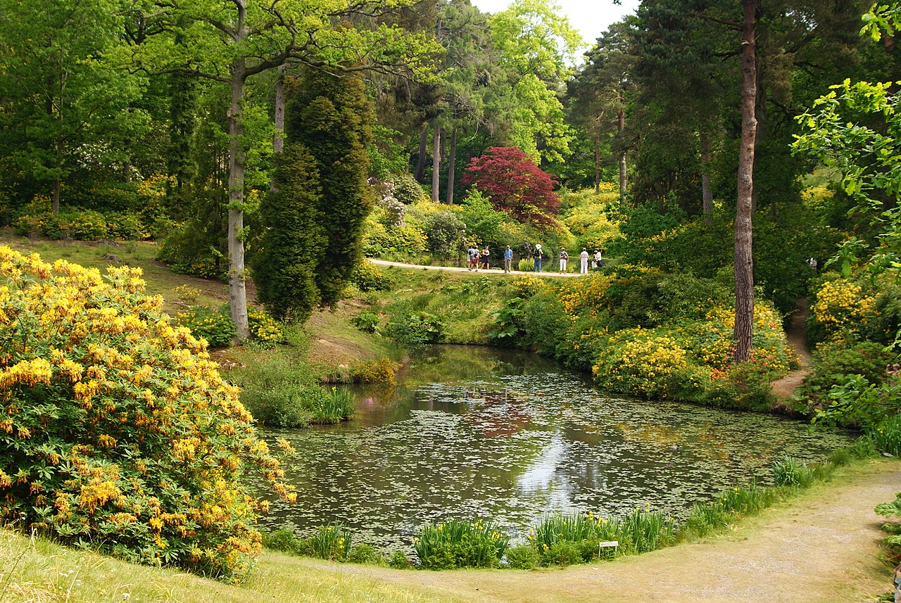 1280px-Leonardslee_Gardens,_Sussex_(5)_(geograph_1906444).jpg