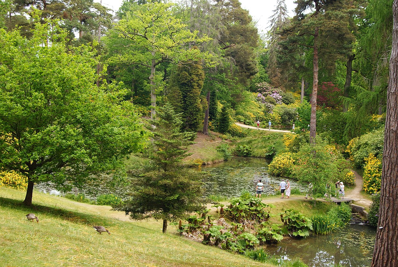 1280px-Leonardslee_Gardens,_Sussex_(6)_(geograph_1906457).jpg