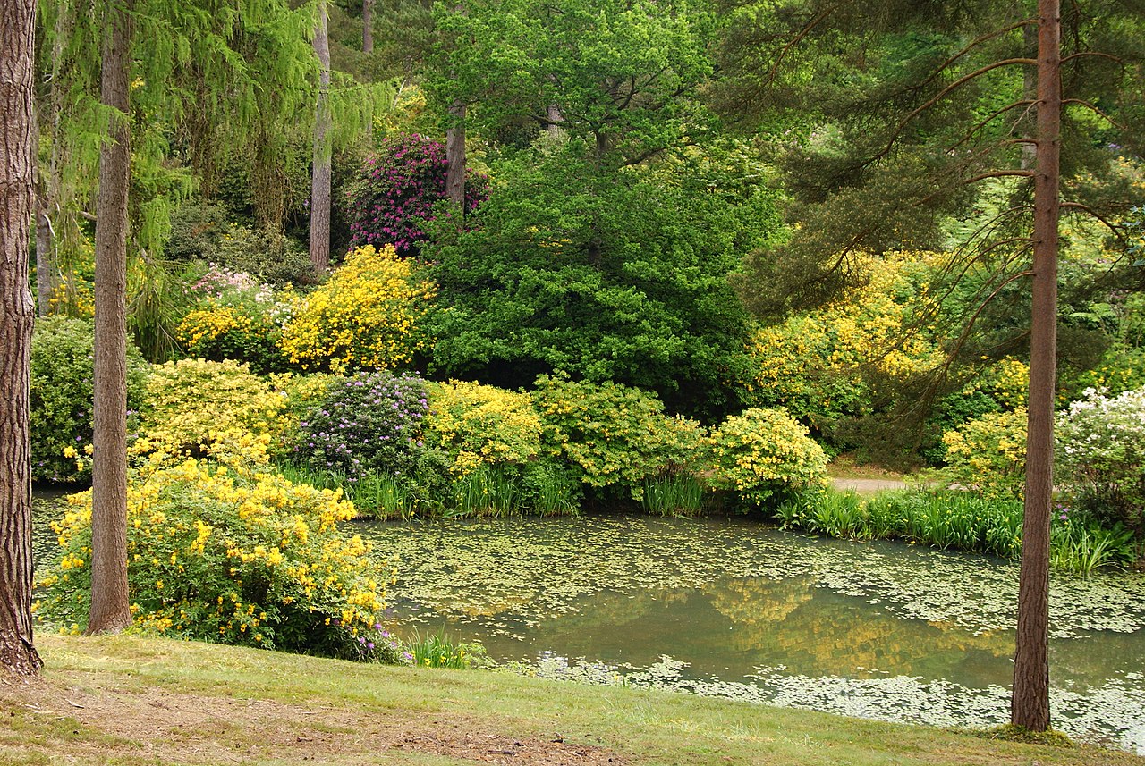 1280px-Leonardslee_Gardens,_Sussex_(7)_(geograph_1906469).jpg