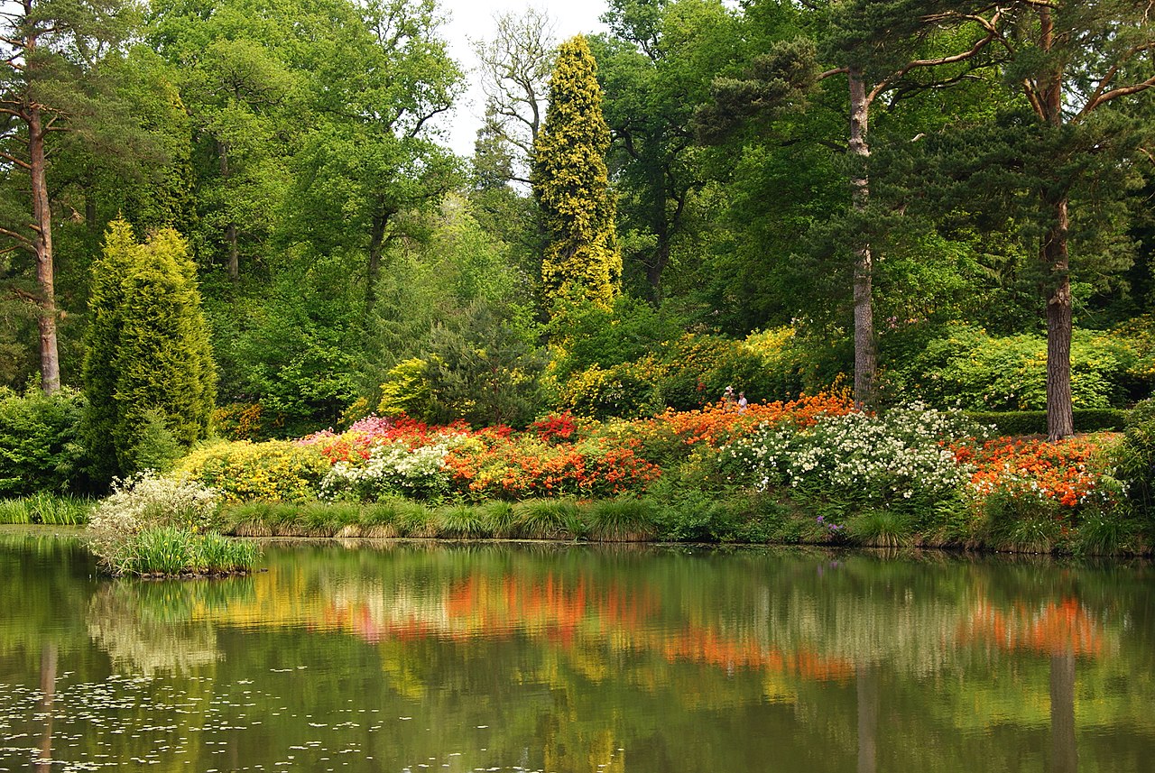 1280px-Leonardslee_Gardens,_Sussex_(8)_(geograph_1906483).jpg