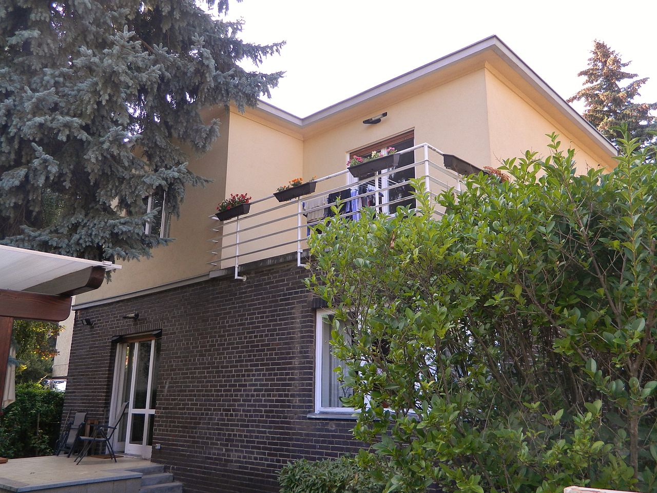 1280px-Napraforgó_10-02.JPG