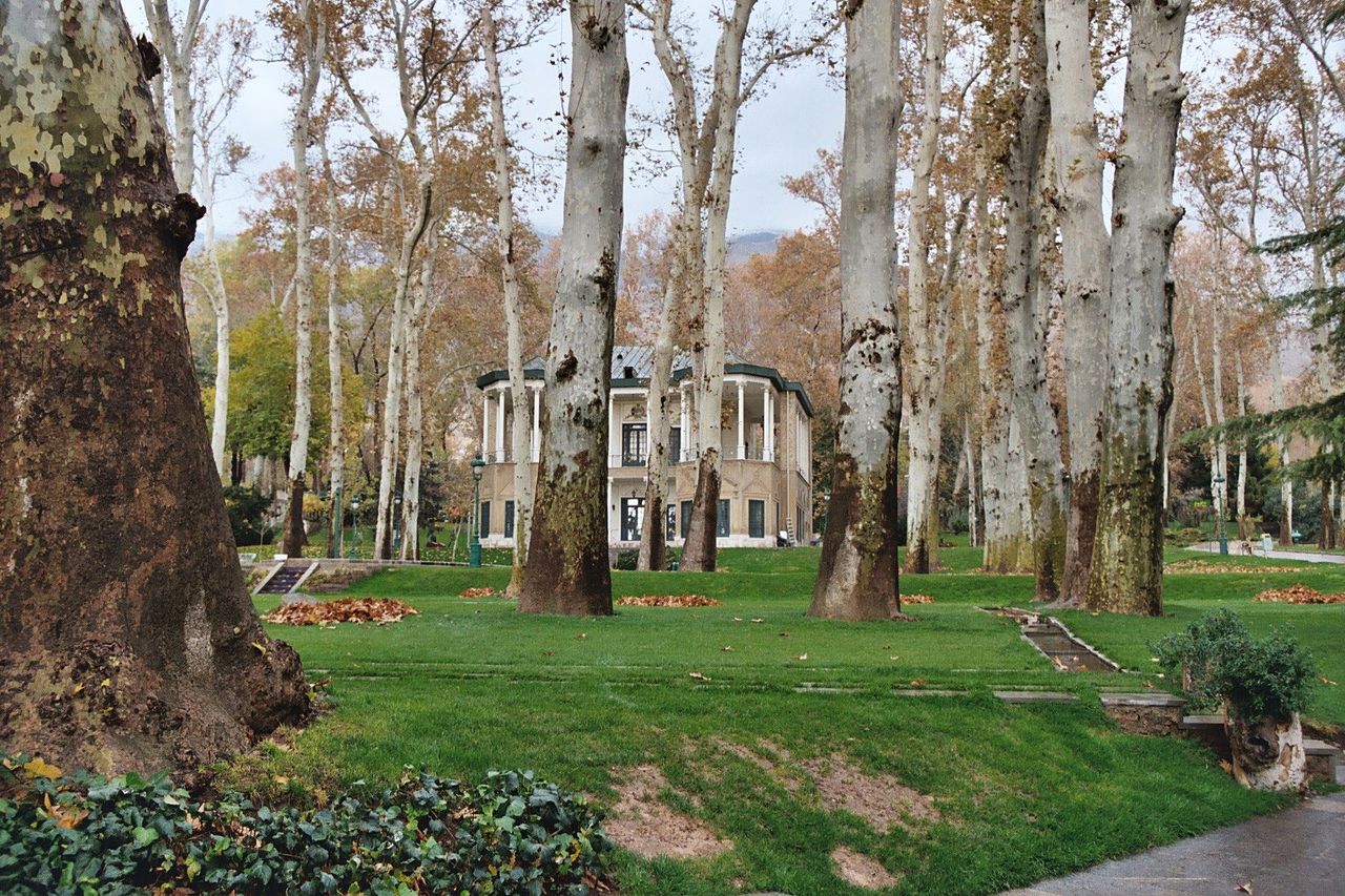 1280px-NiavaranPalaceTehran Мохамеда Резы.jpg