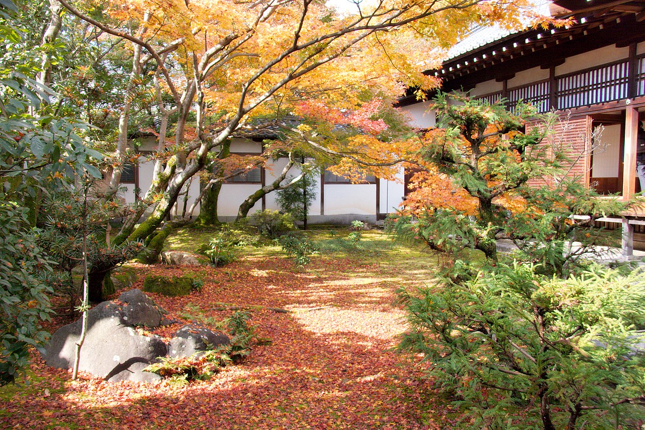 1280px-Ninna-ji_(3263576455).jpg
