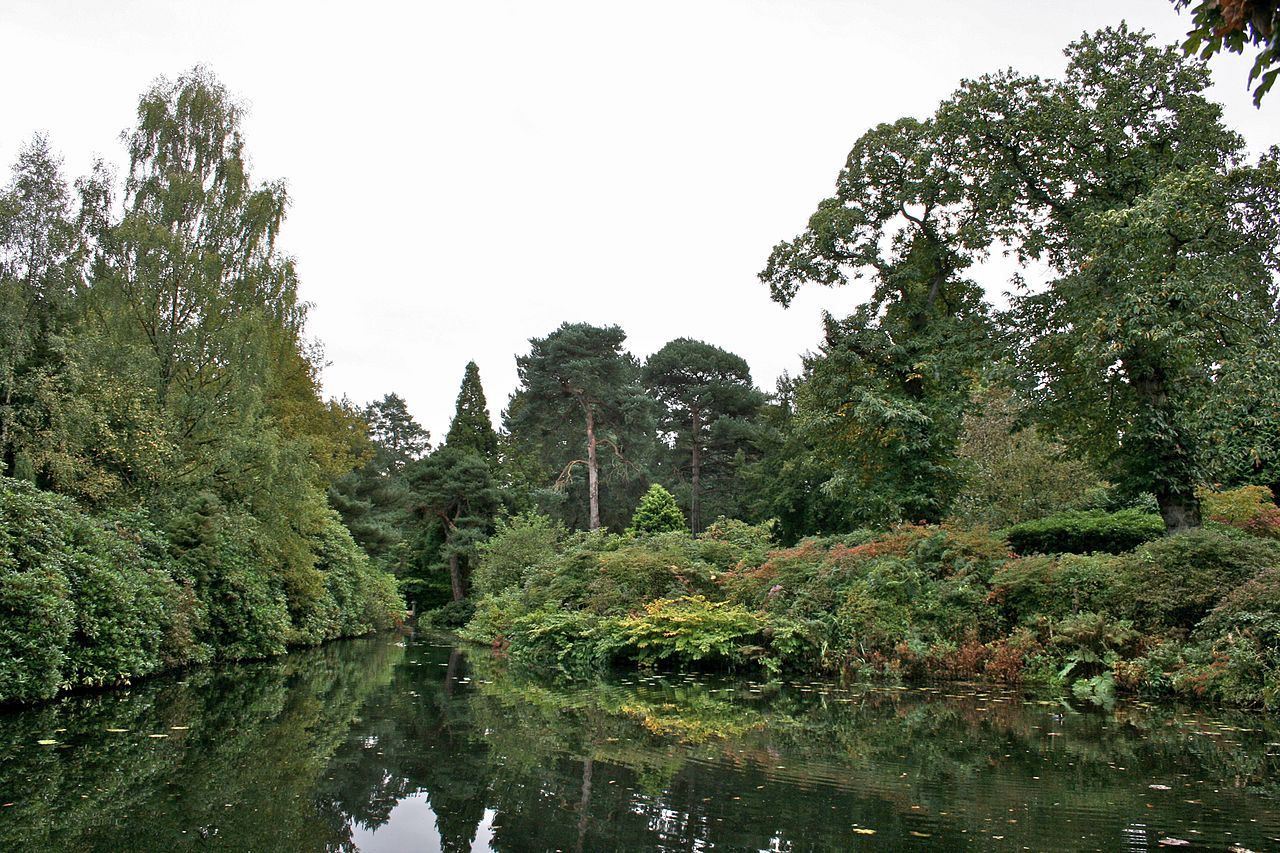 1280px-Pond_at_Tatton_Park_2.jpg