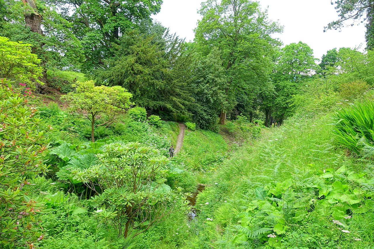 1280px-Ravine_path_-_Chatsworth_House_-_Derbyshire,_England_-.jpg