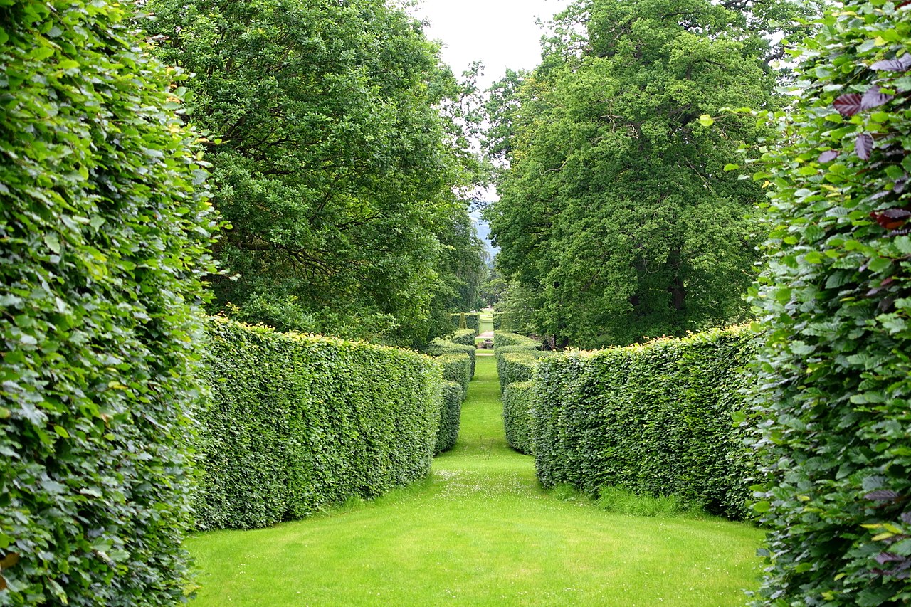 1280px-Serpentine_hedge_-_Chatsworth_House_-_Derbyshire,_England_-_DSC03592.jpg