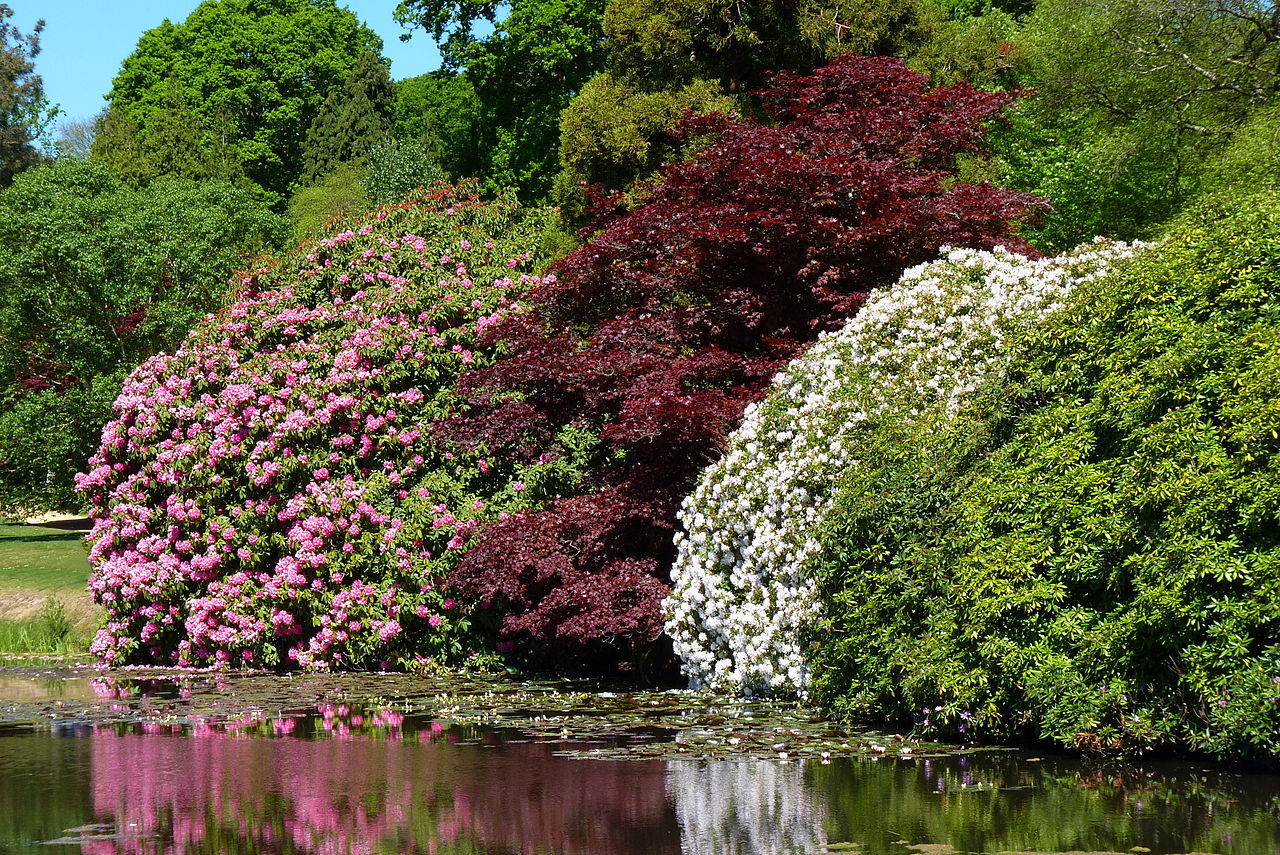 1280px-Sheffield_Park_Garden02.JPG