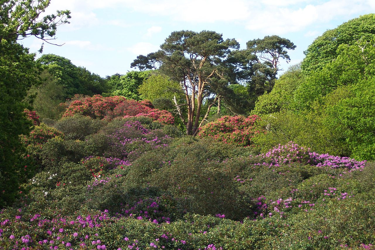 1280px-Sheringham_Park_2.JPG
