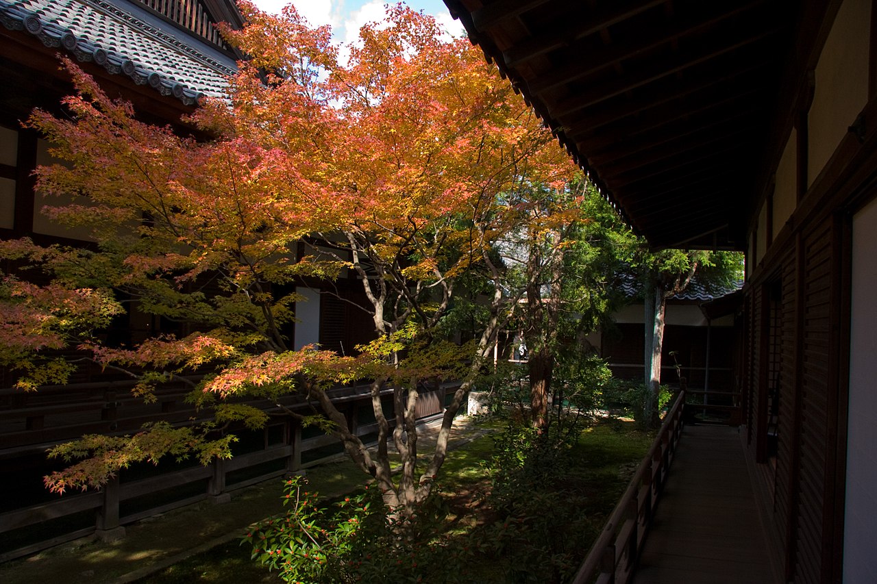 1280px-Shoren-in_(2640533165).jpg