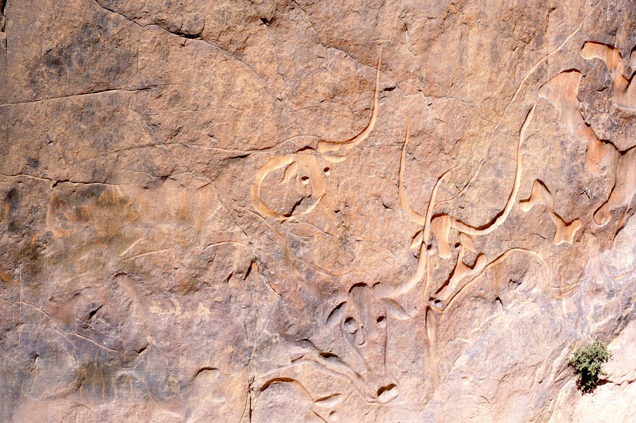1280px-Tassili_-_Bulls_(rock_engraving).jpg