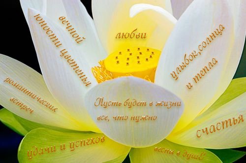 1294128971702ed011f4f8.jpg