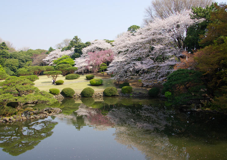 130889_Tokyo_Shinjuku Gyoen_shutterstock_27013418.jpg