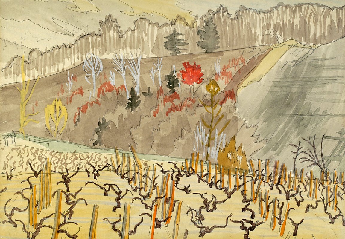 1318002139_www.nevsepic.com.ua_theп-vineyard.jpg