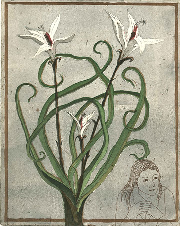 1392-1527-09_ystavyys_on_parasta_laastaria.jpg