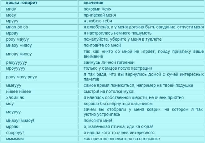 139f92f5fce2c54fdb5cb9518cf6249e.png