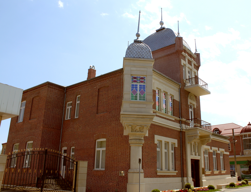 13Palace_of_Mir_Ahmad_khan_5.png