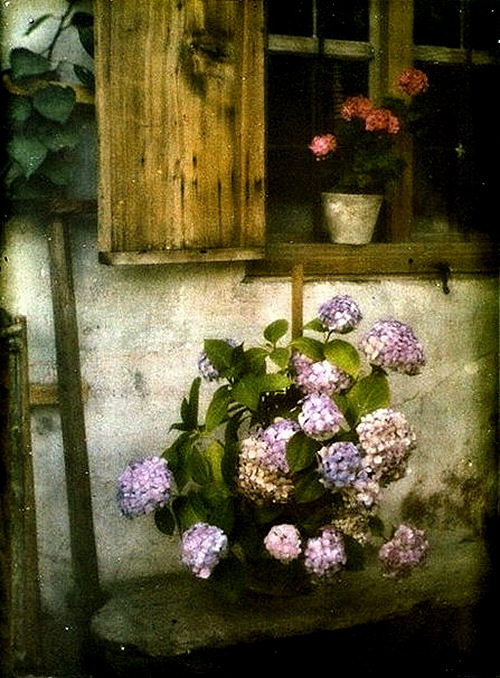 1419133_original.jpg