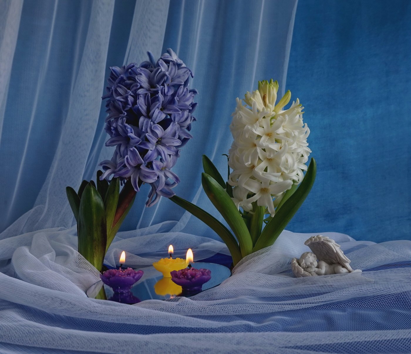 1427010539_flowers_still_photo_01.jpg