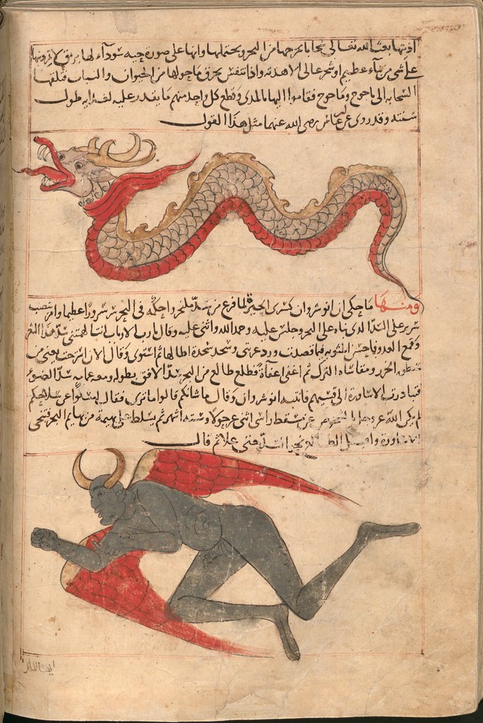 149.jpg