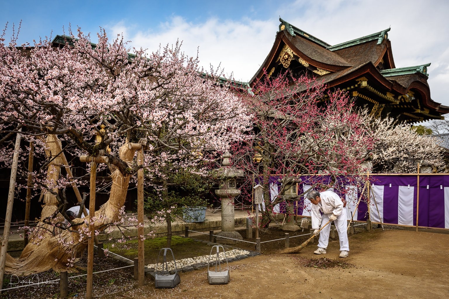 150312_Kyoto-Kitano-Tenmangu-Ume-810967.jpg